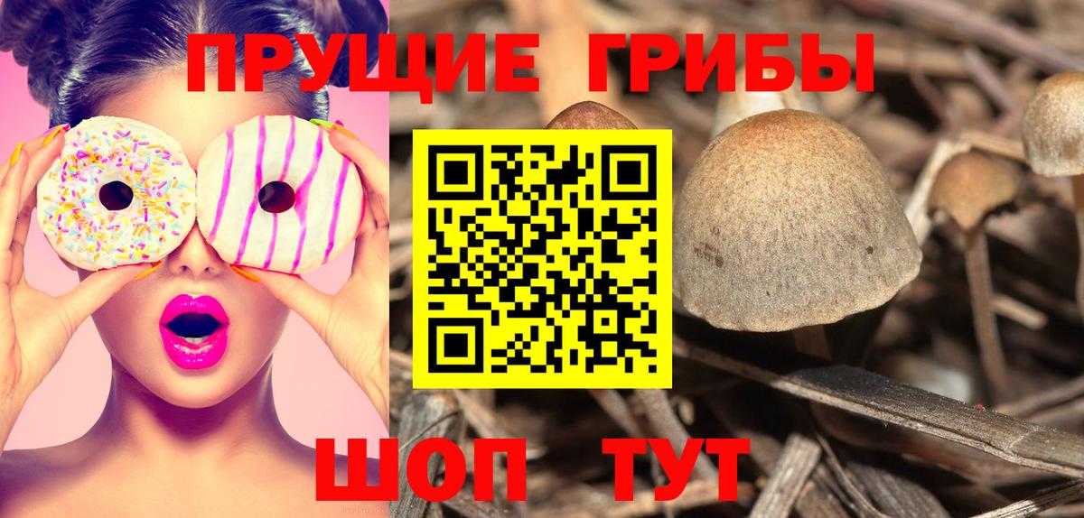 Псилоцибиновые грибы MAGIC MUSHROOMS  Псилоцибиновые грибы Magic Shrooms  Батайск  Вход с VPN 